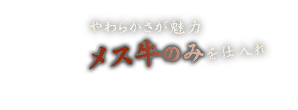 メス牛のみを仕入れ